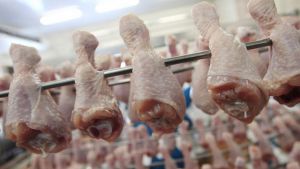 В 2014 году из России было экспортировано 57 тыс. тонн мяса птицы