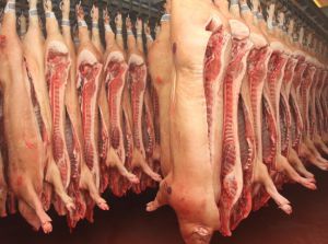 Канадские трейдеры закупят свинину в России