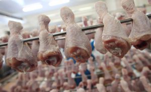 Производство и экспорт мяса птицы в Бразилии достигнут в следующем году рекордного уровня
