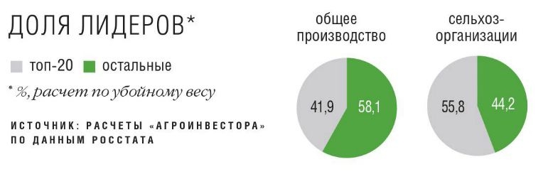 Доля лидеров в рейтинге ТОП-20 крупнейших производителей мяса в России Доля лидеров в рейтинге ТОП-20 крупнейших производителей мяса в России