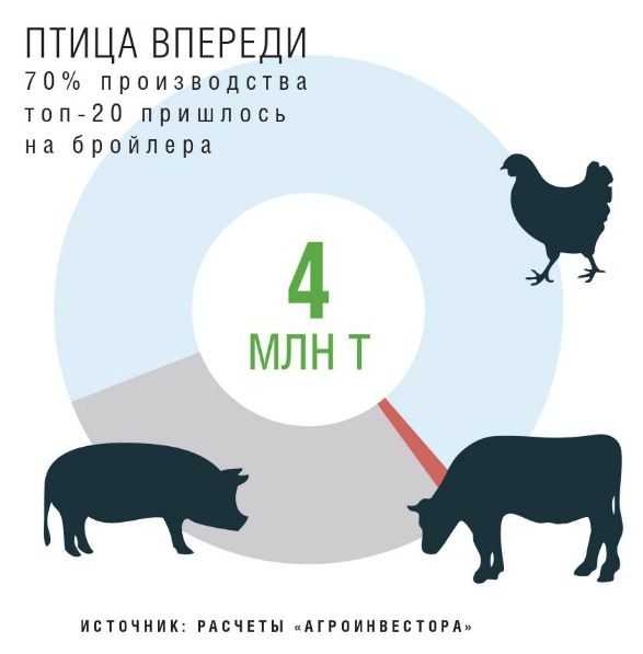 Птица впереди. 70 процентов производства топ-20 пришлось на мясо птицы Птица впереди. 70 процентов производства топ-20 пришлось на мясо птицы