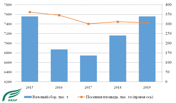 Валовый сбор и посевная площадь картофеля