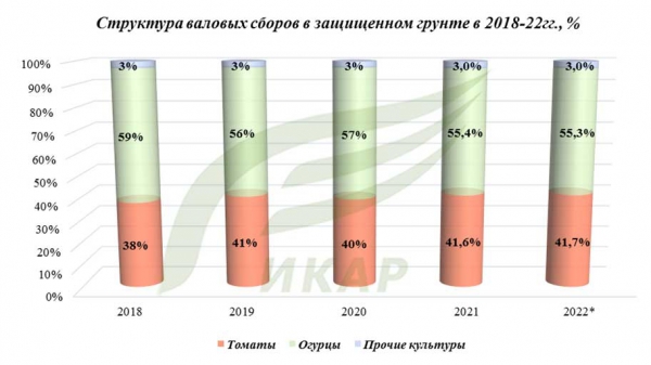 Овощи защищенного грунта итоги 2022 года