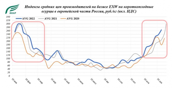 Овощи защищенного грунта итоги 2022 года Овощи защищенного грунта итоги 2022 года