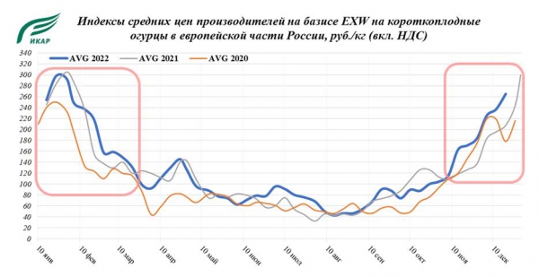 Овощи защищенного грунта итоги 2022 года