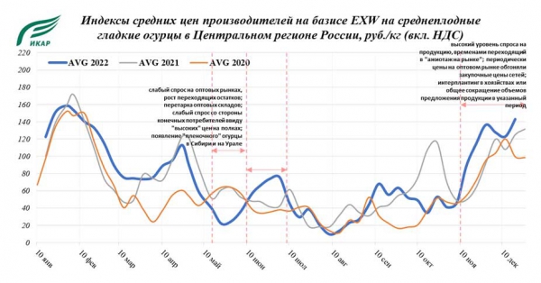 Овощи защищенного грунта итоги 2022 года Овощи защищенного грунта итоги 2022 года