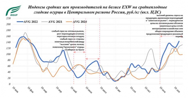 Овощи защищенного грунта итоги 2022 года