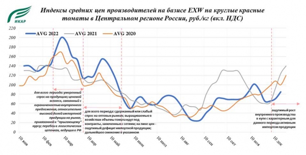 Овощи защищенного грунта итоги 2022 года