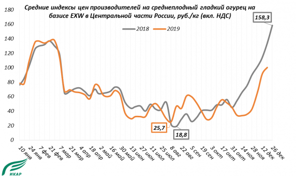 Цены на огурцы Цены на огурцы