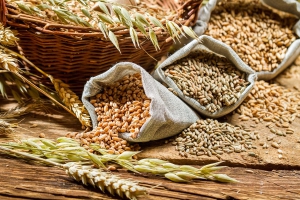 Минсельхоз: О ситуации на рынке зерна