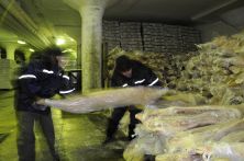 Ответственное хранение продуктов питания Ответственное хранение продуктов питания