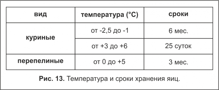 Температура и сроки хранения яиц