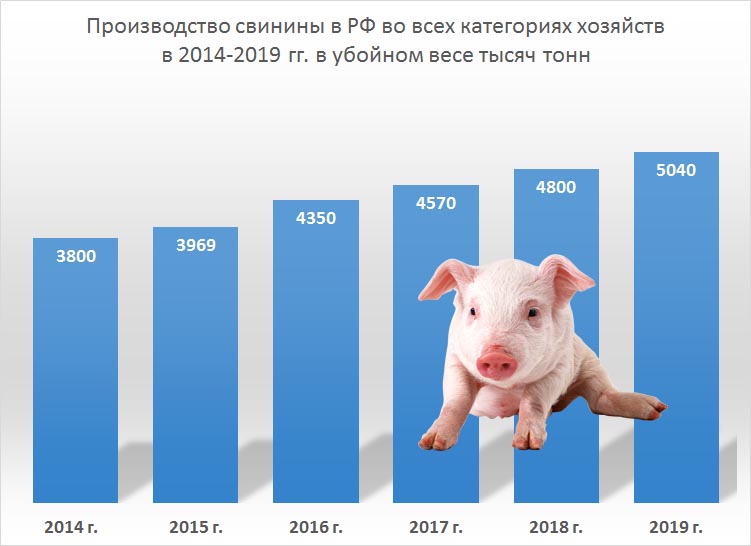 Производство свинины в России по годам 2014-2015-2016-2017-2018 Производство свинины в России по годам 2014-2015-2016-2017-2018
