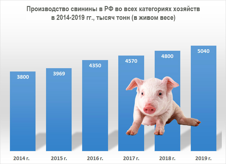 Производство свинины в России по годам 2014-2015-2016-2017-2018-2019