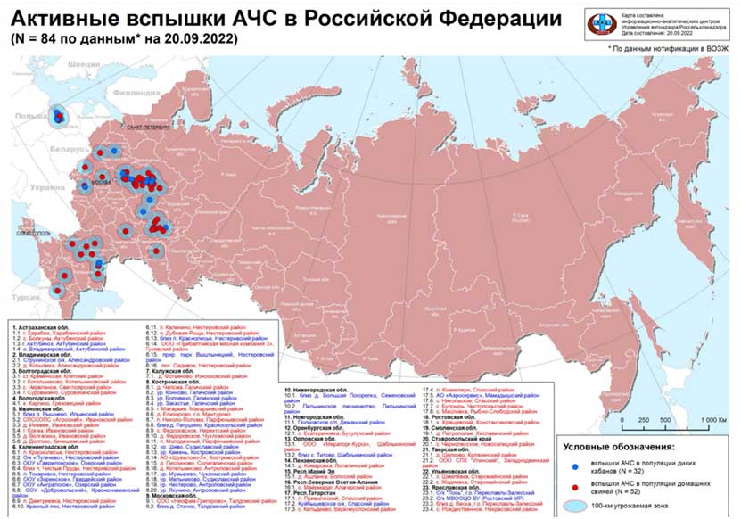 Активные вспышки АЧС (Африканская чума свиней) в России по данным на 20.09.2022 года